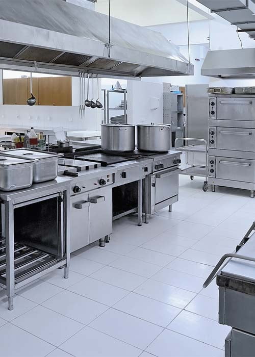 Hospitality Pest Control Kitchen